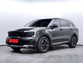 Kia Sorento Noblesse 2025 - 11 