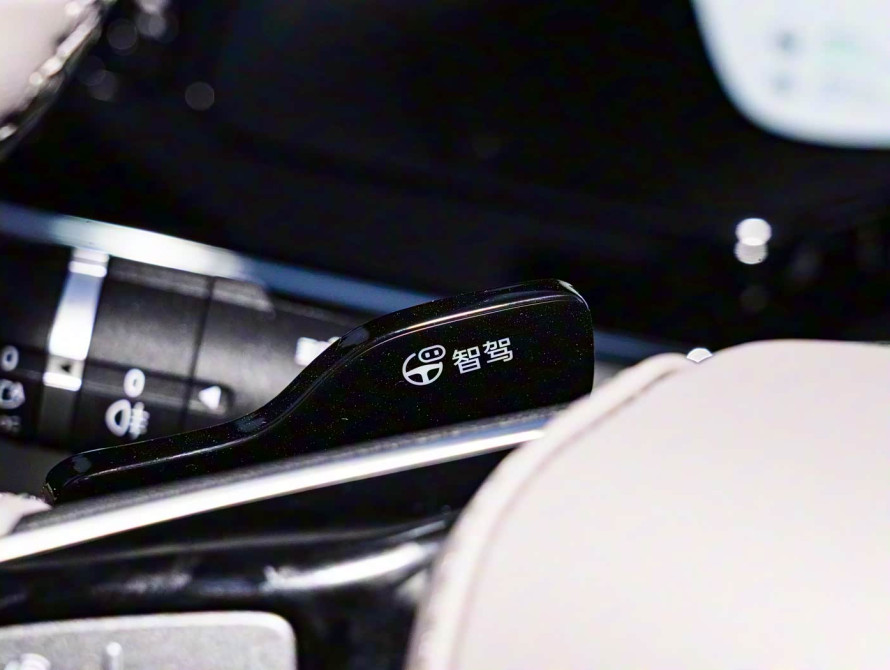 BYD Tang DM-i Top 2025 BYD Tang DM-i Top 2025